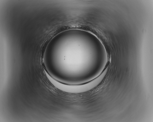 X0000114621444200910201123