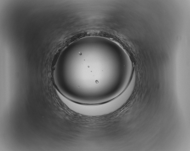 X0000114621445200910201123