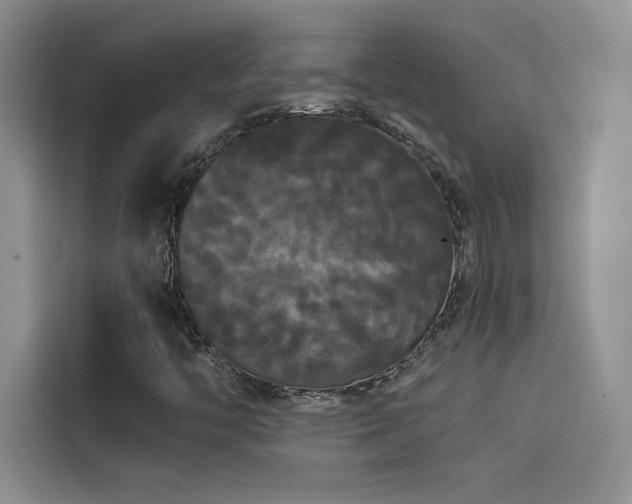 X0000114621446200910201123