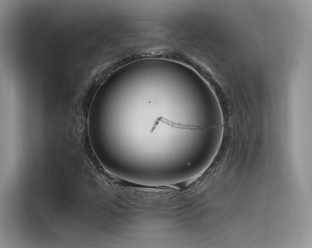 X0000114621447200910201123