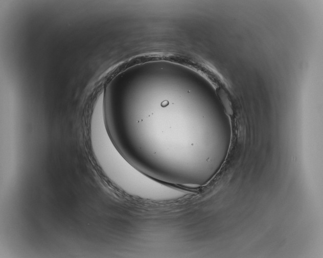 X0000114621448200910201123