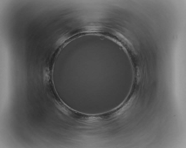 X0000114621449200910201123