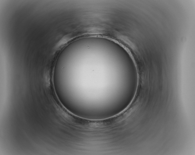 X0000114621451200910201123