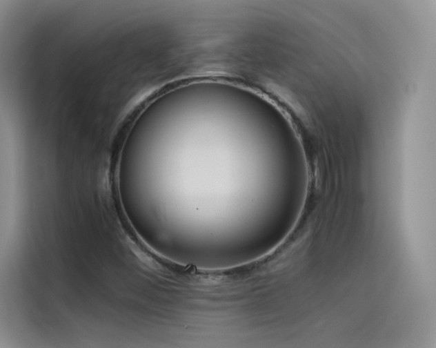 X0000114621452200910201123