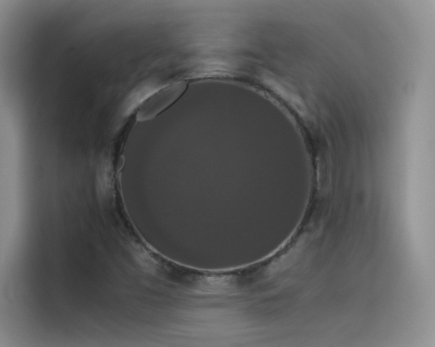 X0000114621453200910201123