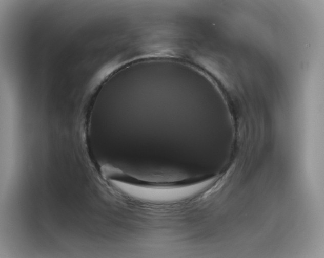 X0000114621455200910201123
