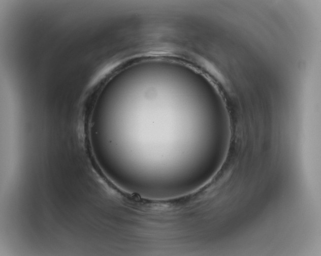 X0000114621456200910201123