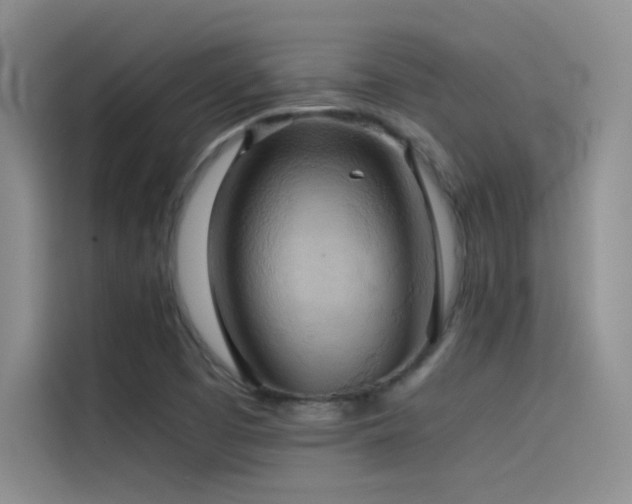 X0000114621457200910201123