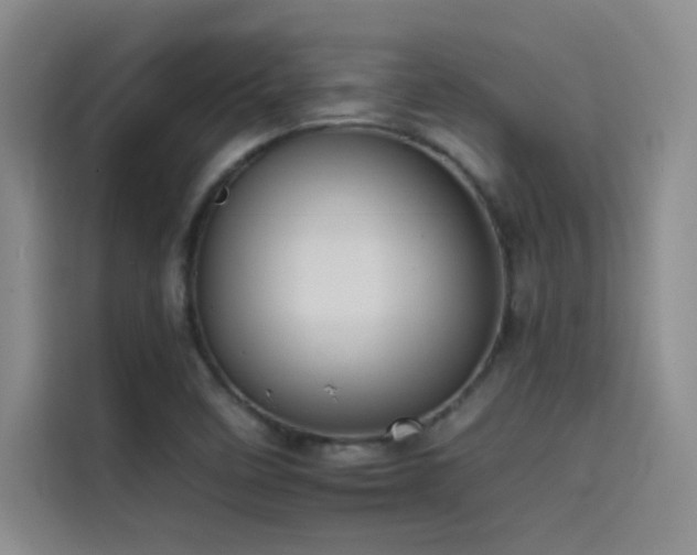 X0000114621458200910201123