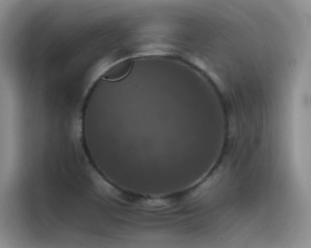 X0000114621459200910201123