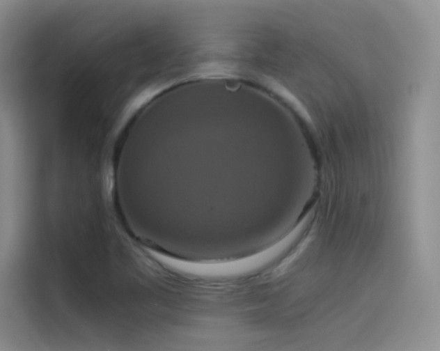X0000114621461200910201123