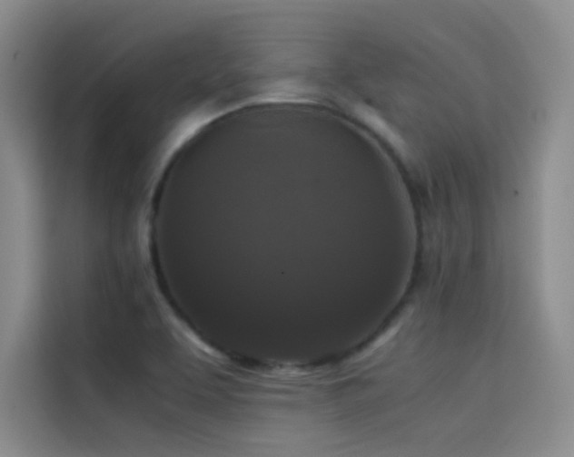 X0000114621463200910201123
