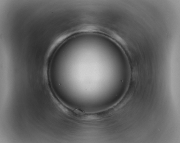 X0000114621464200910201123
