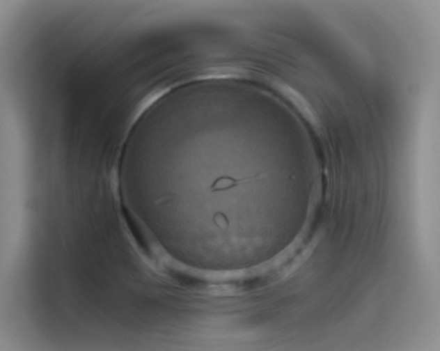 X0000114621465200910201123