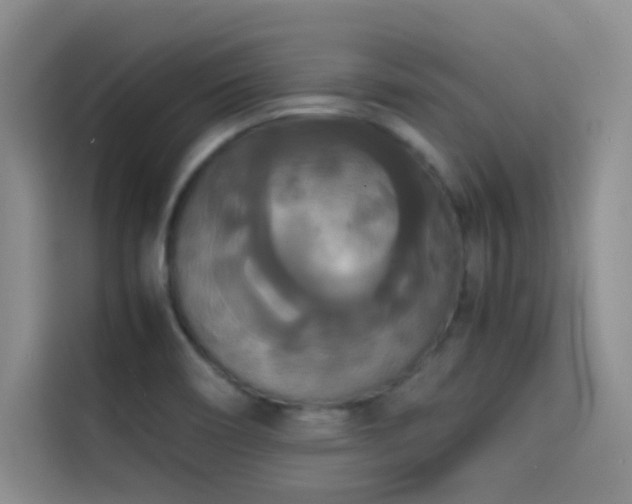 X0000114621466200910201123