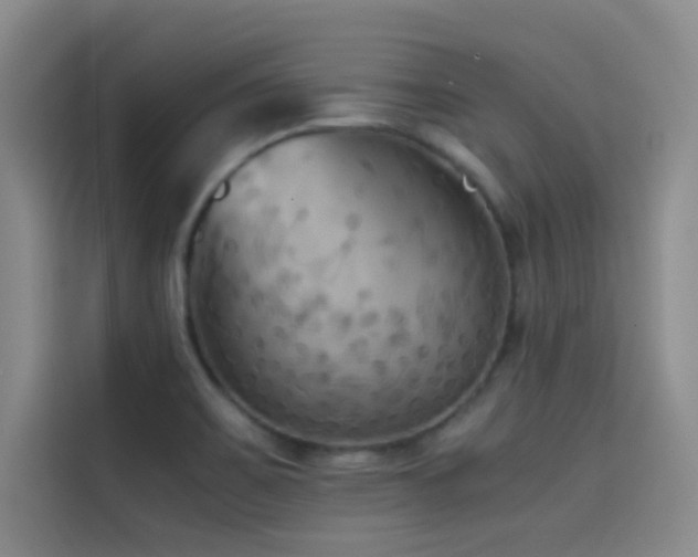 X0000114621467200910201123
