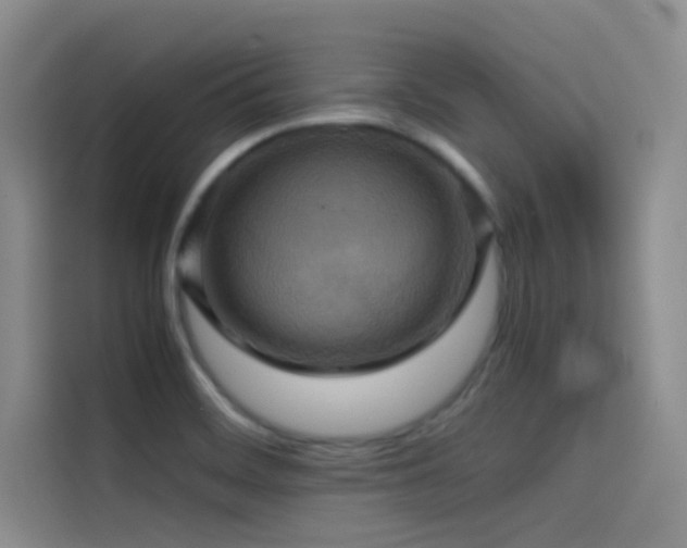 X0000114621468200910201123