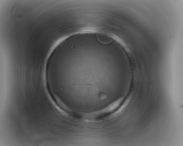 X0000114621469200910201123