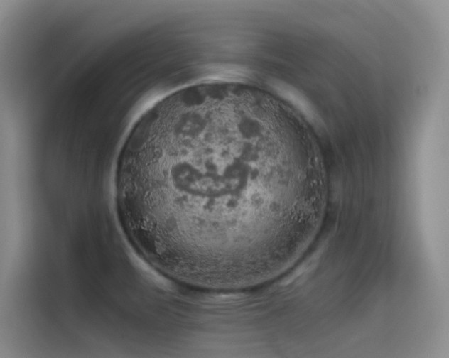 X0000114621471200910201123