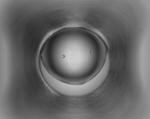 X0000114621472200910201123