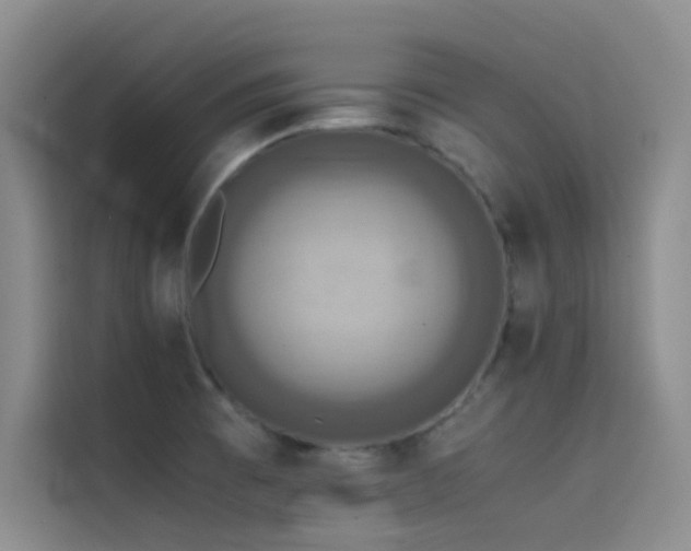 X0000114621473200910201123