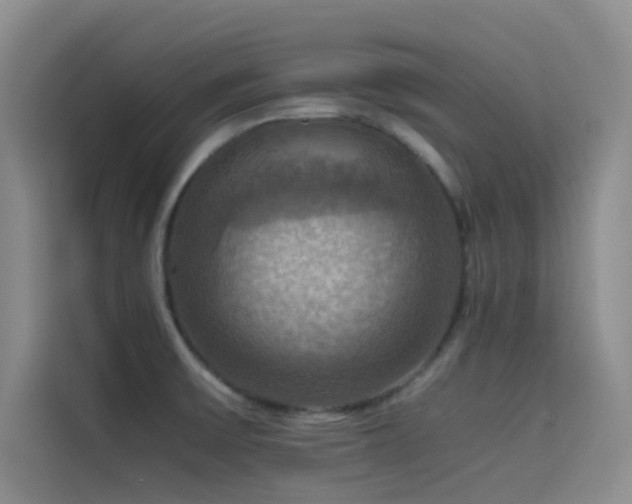 X0000114621475200910201123