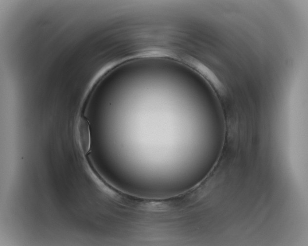 X0000114621476200910201123