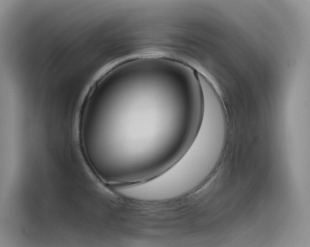 X0000114621477200910201123