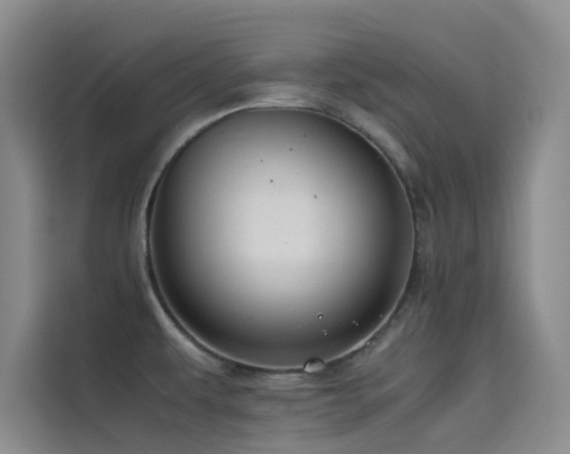 X0000114621479200910201122
