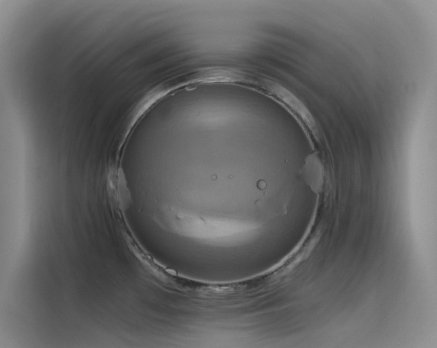 X0000114621481200910201122