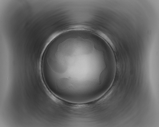 X0000114621482200910201122