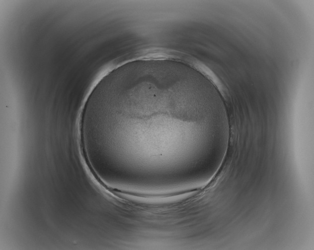 X0000114621483200910201122