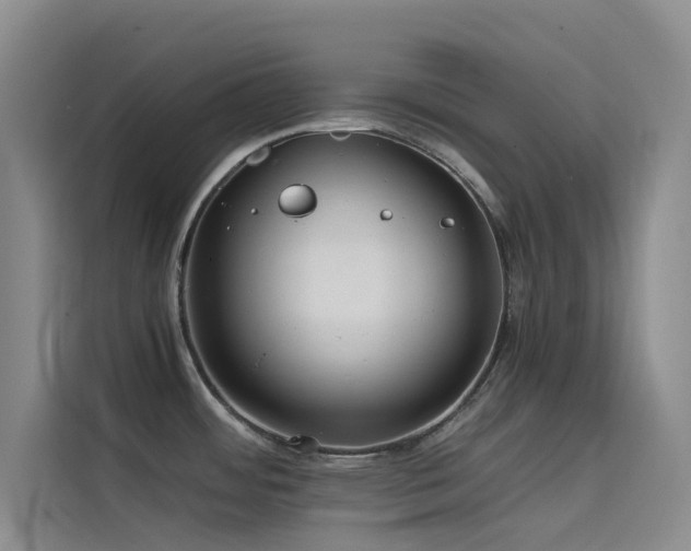 X0000114621484200910201122