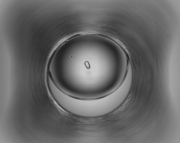 X0000114621485200910201122