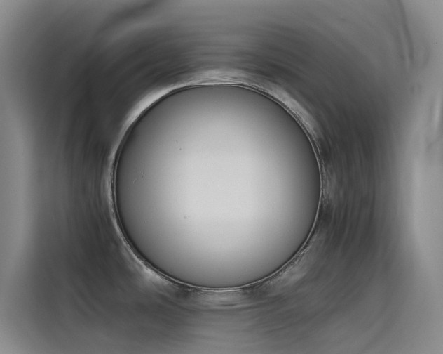 X0000114621486200910201122