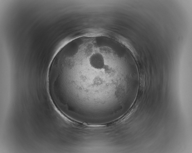 X0000114621487200910201122