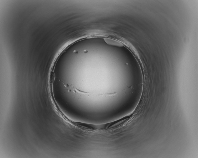 X0000114621488200910201122