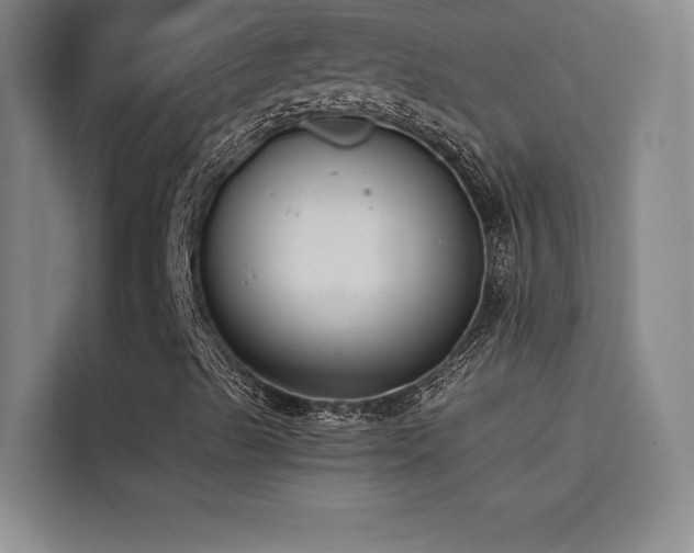 X0000114621489200910201122