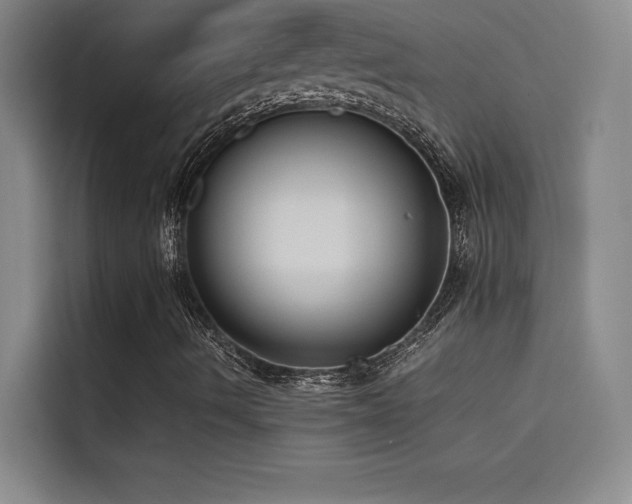 X0000114621490200910201122