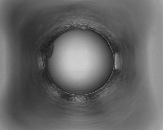 X0000114621491200910201122