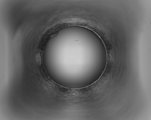 X0000114621493200910201122