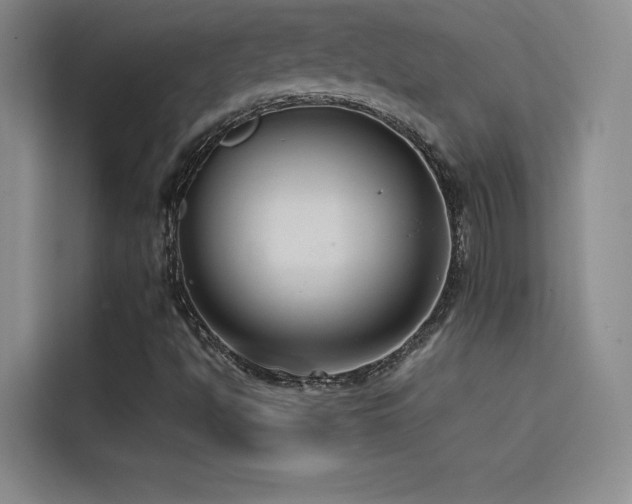 X0000114621494200910201122