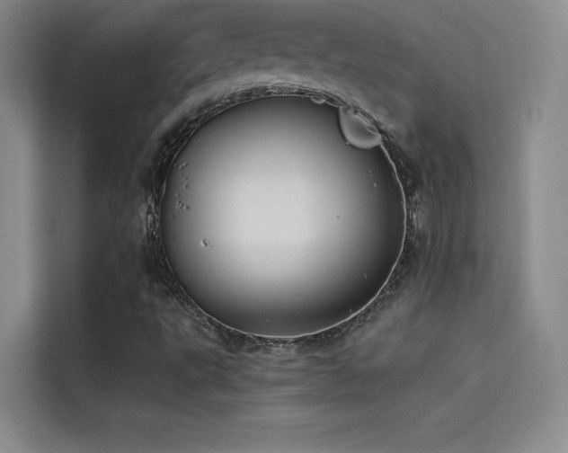 X0000114621495200910201122