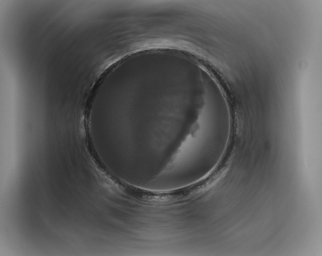 X0000114621497200910201122