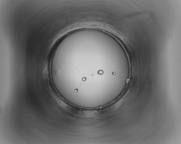 X0000114621498200910201122