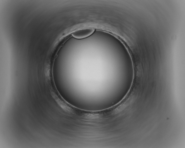 X0000114621499200910201122
