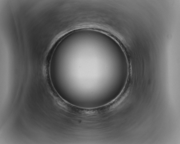 X0000114621501200910201122