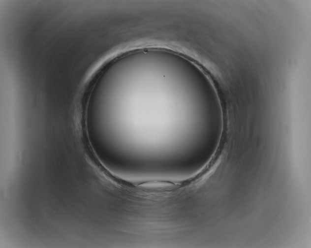 X0000114621502200910201122