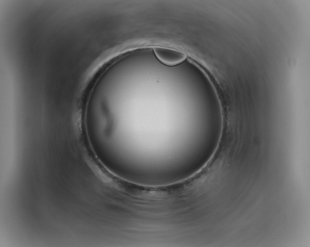 X0000114621503200910201122