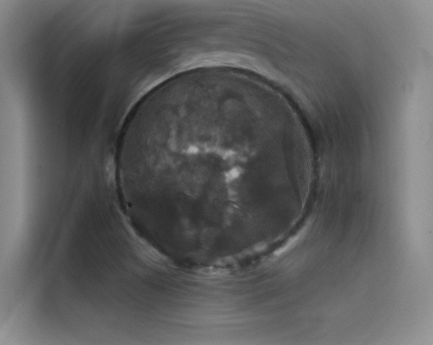 X0000114621505200910201122